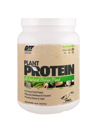Gat Sport Plant Protein Chocolate Peanut Butter (673 gm)